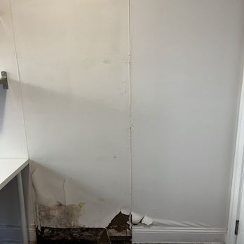 New York Mold Specialist - Damage Restoration Near Me - Brooklyn, New York