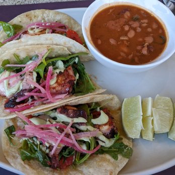 Terraza Garden Patio & Lounge - Octopus tacos - Music Venues Near Me - Tucson, Arizona Terraza Garden Patio & Lounge - Octopus tacos - Music Venues Near Me - Tucson, Arizona