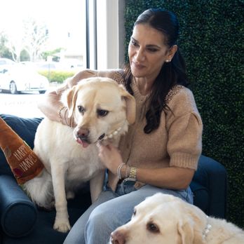 Vardy's Jewelers - Pearls for our fur babies - Jewelry Near Me - Cupertino, California Vardy's Jewelers - Pearls for our fur babies - Jewelry Near Me - Cupertino, California