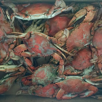 Nancy's Seafood - Seafood Markets Near Me - Savannah, Georgia Nancy's Seafood - Seafood Markets Near Me - Savannah, Georgia