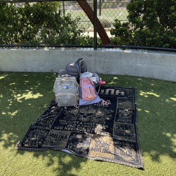 Raymond Kimbell Playground - My blanket underneath the tree - Parks Near Me - San Francisco, California