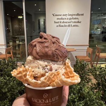 Bacio Di Latte - Waffle Bowl 1 Unit - Gelato Near Me - La Jolla, California