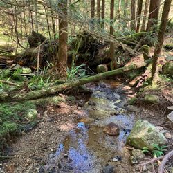 Buntzen Lake