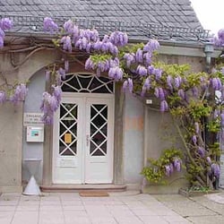 Botanischer Garten