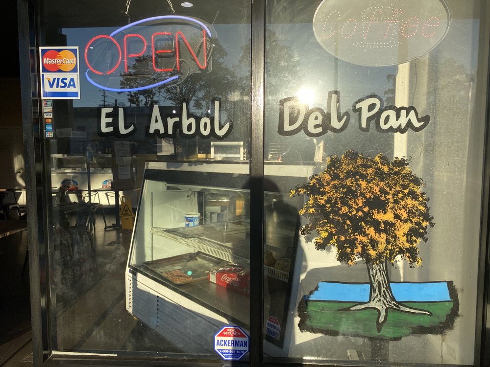 El Arbol Del Pan