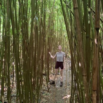 Lulumahu Falls - Bamboo - Hiking Near Me - Honolulu, Hawaii Lulumahu Falls - Bamboo - Hiking Near Me - Honolulu, Hawaii