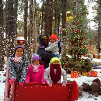 Bearizona - Christmas - Zoos Near Me - Williams, Arizona Bearizona - Christmas - Zoos Near Me - Williams, Arizona