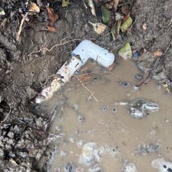 Oakland Hills Landscape - 2nd irrigation issue