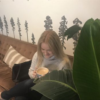 Little Bear Coffee - Coffee & Tea Near Me - Albuquerque, New Mexico