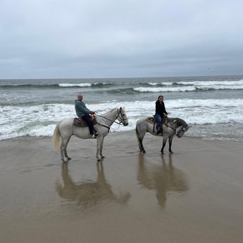 Monterey Bay Equestrian Center - Horseback Riding Near Me - Castroville, California Monterey Bay Equestrian Center - Horseback Riding Near Me - Castroville, California