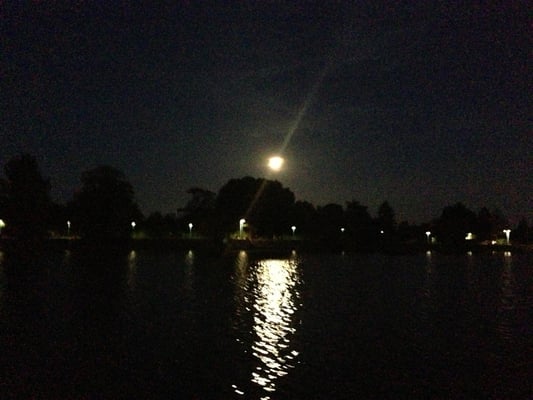 Alte Donau by null