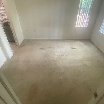 Carpet Ninja - Before - Carpet Cleaning Near Me Carpet Ninja - Before - Carpet Cleaning Near Me