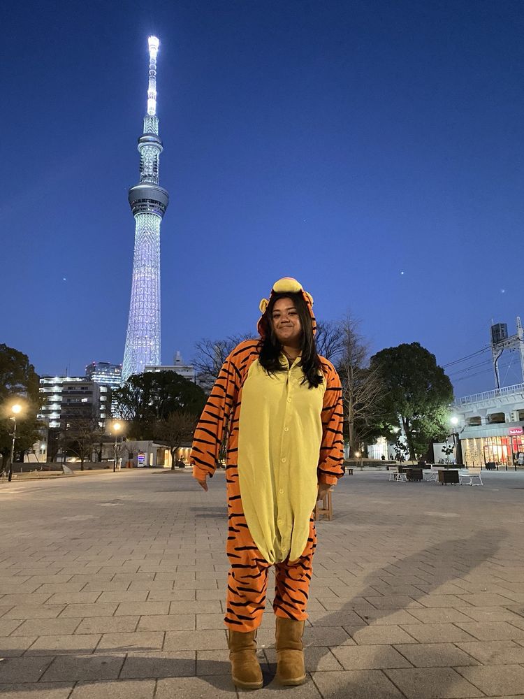 STREET KART Akihabara