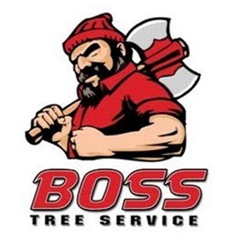 Boss Tree Service - Tree Services Near Me - Newnan, Georgia Boss Tree Service - Tree Services Near Me - Newnan, Georgia