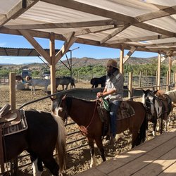 Wild Western Horseback Adventures
