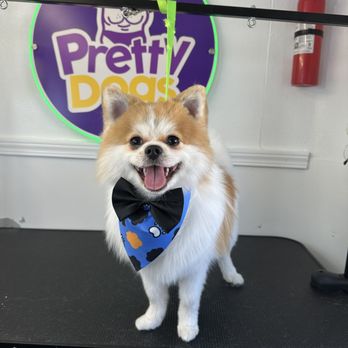 Pretty Dogs - Pet Groomers Near Me - Orlando, Florida Pretty Dogs - Pet Groomers Near Me - Orlando, Florida