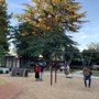 Photo of Homeridge Park