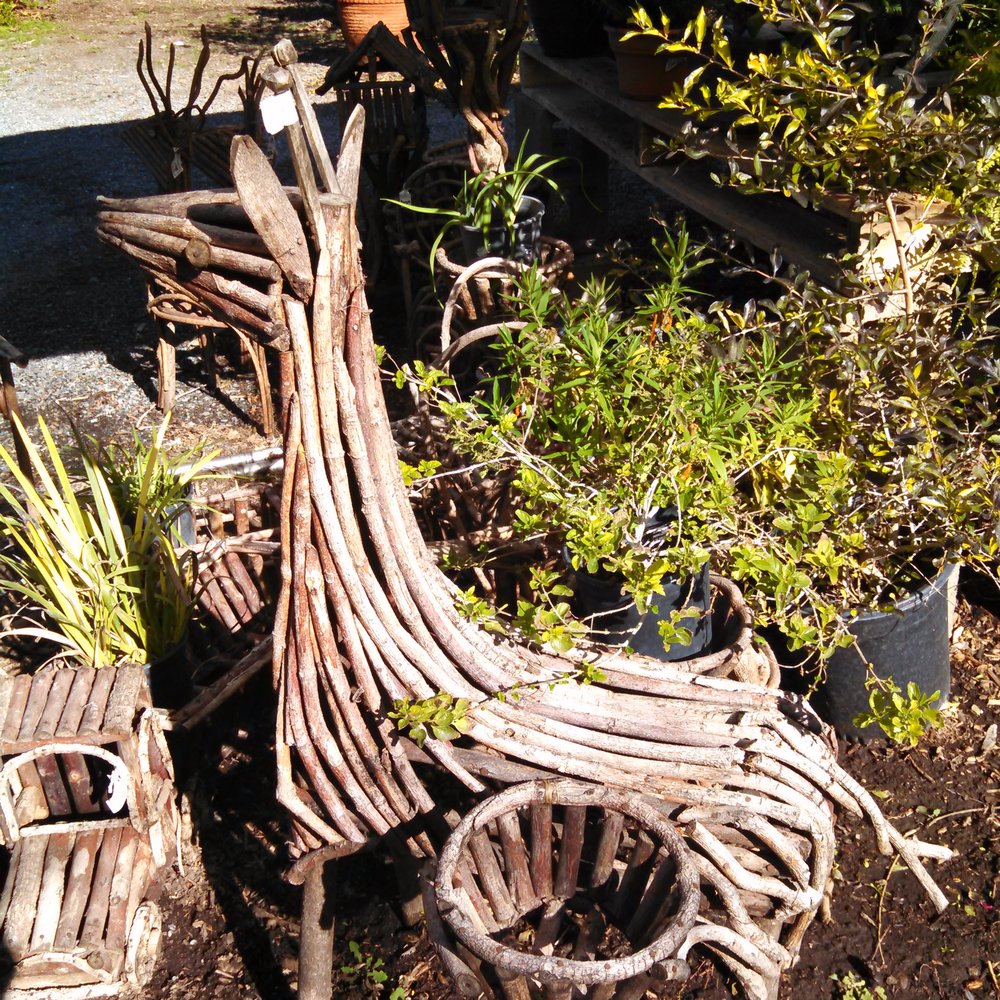 Four Queens Nursery - Nurseries & Gardening Near Me - Escondido, California Four Queens Nursery - Nurseries & Gardening Near Me - Escondido, California