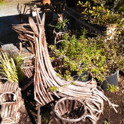 Four Queens Nursery