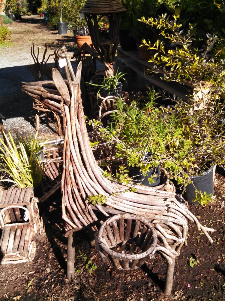 FOUR QUEENS NURSERY Updated June 2024 1578 San Pasqual Valley Rd