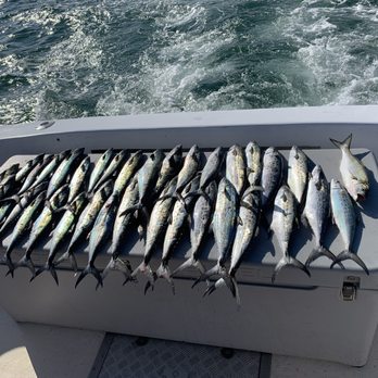 Reelax Fishing Charters - Fish - Fishing Near Me - Atlantic Beach, North Carolina Reelax Fishing Charters - Fish - Fishing Near Me - Atlantic Beach, North Carolina