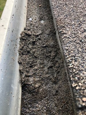 APS WINDOW & GUTTER CLEANING - Updated January 2025 - 29 Reviews