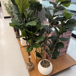 TJ Maxx