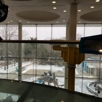 EcoTarium - Looking down - Museums Near Me - Worcester, Massachusetts