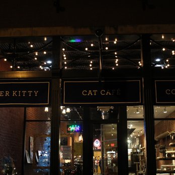 River Kitty Cat Cafe - Front of store - Themed Cafes Near Me - Evansville, Indiana