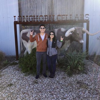 Longhorn Cellars - Photo opt in the front with a longhorn - Wine Tasting Room Near Me - Fredericksburg, Texas