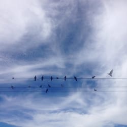 Parque Olhos D'água - Vista do céu no parque!