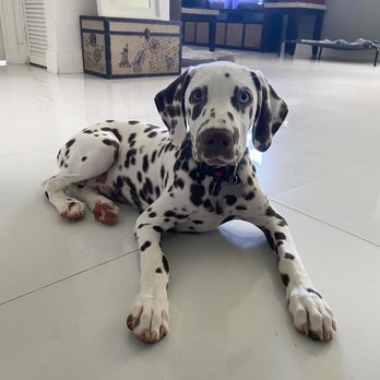 Pet Supplies Plus Hollywood - Pet Stores Near Me - Hollywood, Florida Pet Supplies Plus Hollywood - Pet Stores Near Me - Hollywood, Florida