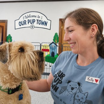 Our Pup Town - Pet Boarding Near Me - Rice Lake, Wisconsin Our Pup Town - Pet Boarding Near Me - Rice Lake, Wisconsin