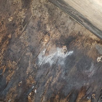 Rusty's Pest Control - Wood rot under bathroom - Pest Control Near Me - Fort Walton Beach, Florida