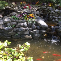 Willow Ridge - Fish pond