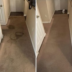Carpet Docs