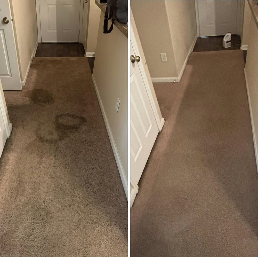 Carpet Docs - upholstery in Murfreesboro, TN