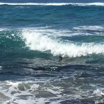 Laniakea Beach - Just catching a wave while waiving. - Beaches Near Me - Haleiwa, Hawaii Laniakea Beach - Just catching a wave while waiving. - Beaches Near Me - Haleiwa, Hawaii