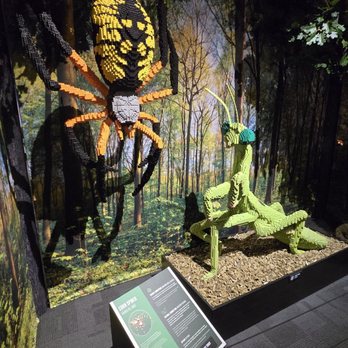 Origen Museum - Special exhibit. June 2025 - Museums Near Me - Las Vegas, Nevada Origen Museum - Special exhibit. June 2025 - Museums Near Me - Las Vegas, Nevada