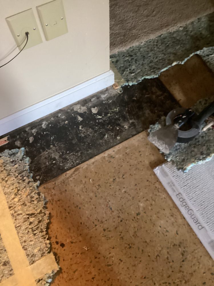 Md Mold Testing - mold inspector in Rockville, MD