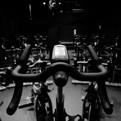 The Ride