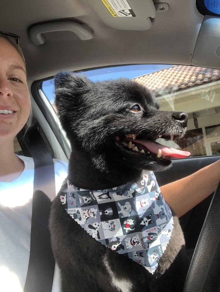 PETS OF PERFECTION Updated August 2024 16 Photos & 10 Reviews