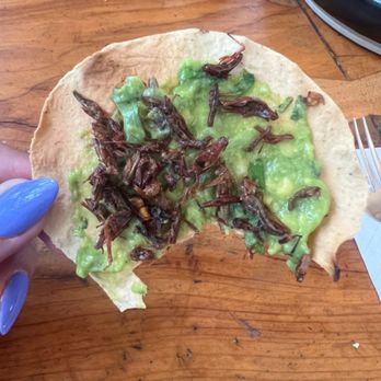 Almuu - Mexican Near Me - San Martín Tilcajete, OAX