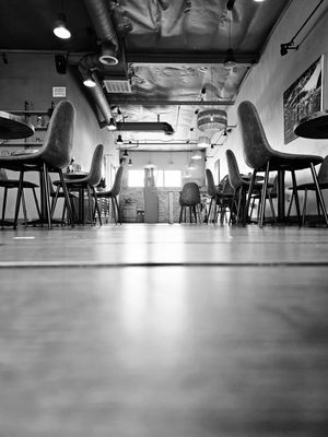 7 Leaves Cafe Euclid by null