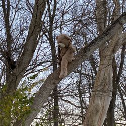 Clearcreek Park - Yep, even mother loving Teddy is here but at least he kept quiet?