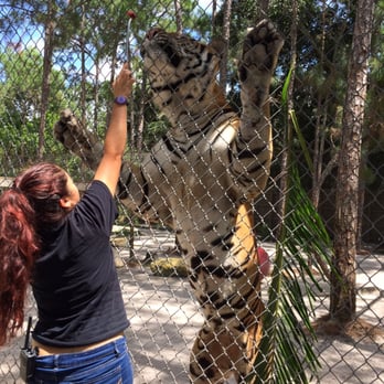 Mccarthy S Wildlife Sanctuary 259 Photos 146 Reviews Zoos Mccarthy S Wildlife Sanctuary 259