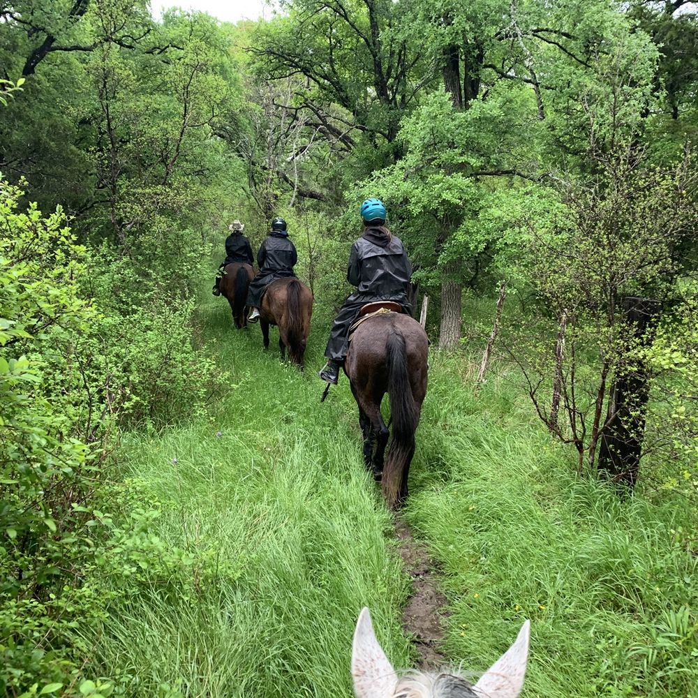 Riding trails in springtime Riding trails in springtime