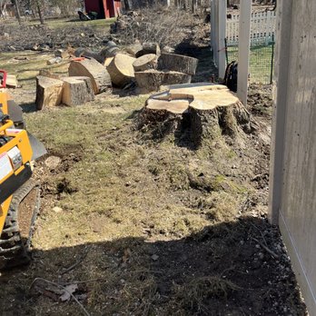 Eastside Tree - Tree Services Near Me