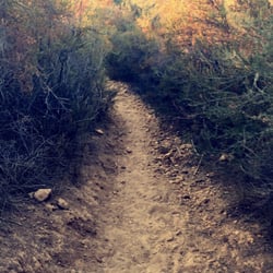 Malibu Lake - The Trail