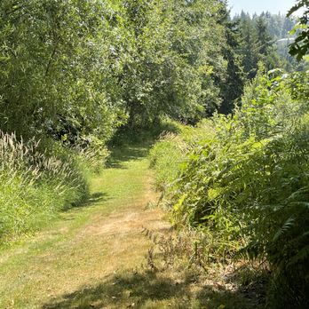Lake Pleasant RV Park - Walking trail that surrounds the RV park. - RV Parks Near Me - Bothell, Washington Lake Pleasant RV Park - Walking trail that surrounds the RV park. - RV Parks Near Me - Bothell, Washington
